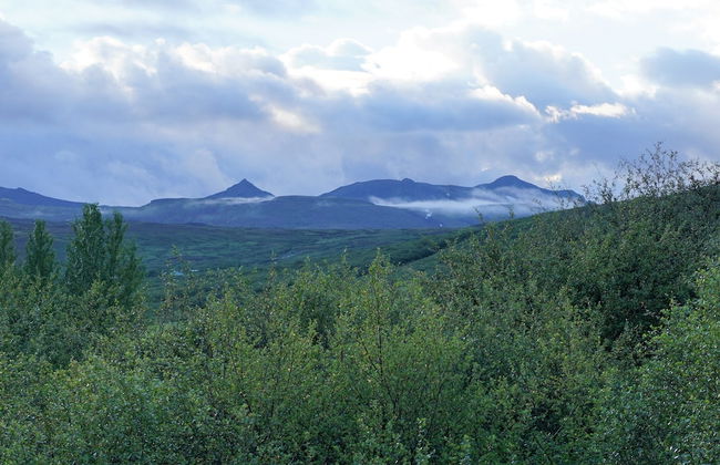 Miðdalskot Cottages - Foto 18