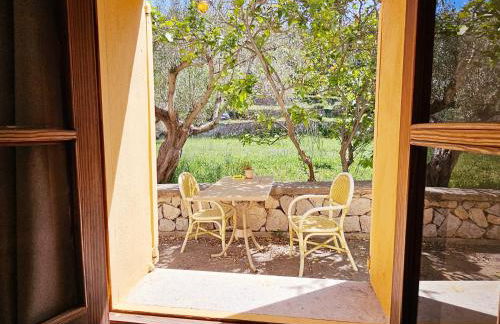 Agroturismo Finca Can Sec - Foto 18