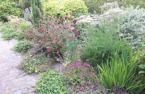 Preisbewusste Ferienwohnung für 2 Personen u. Kleinkind - Photo 32