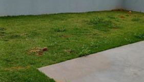 Casa completa em Sinop - Foto 4