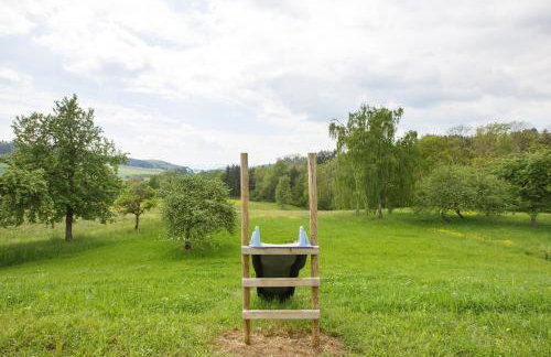 Schwarzwald Apartment - Photo 19