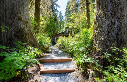 Sauk River Cabins - Hot tub - Firepit - Foto 20