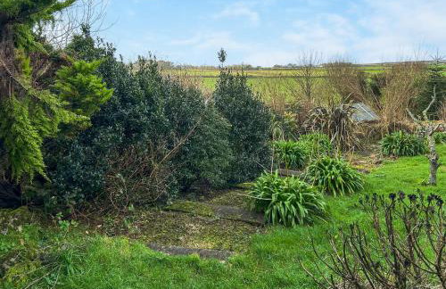 The Green House - Foto 16