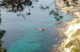 Puig de Ros - Foto 22