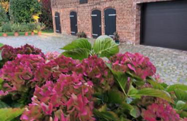 Ferienwohnung Perlitz - Foto 5