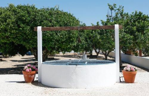 Casa dos Foros - Countryside Villa - Foto 28