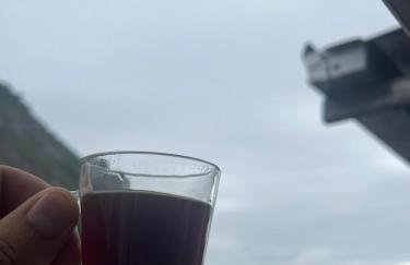 Casa Studio Vidigal - Vista Mar e Morro Dois Irmãos - Foto 4