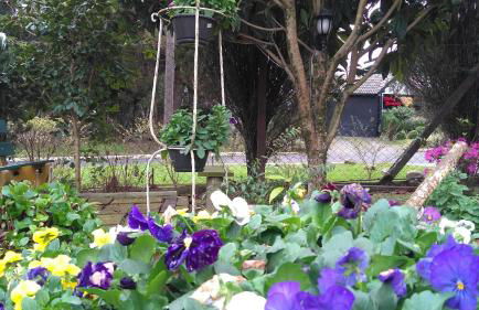 Hospedagem Da Laranjeira Gramado - Photo 48