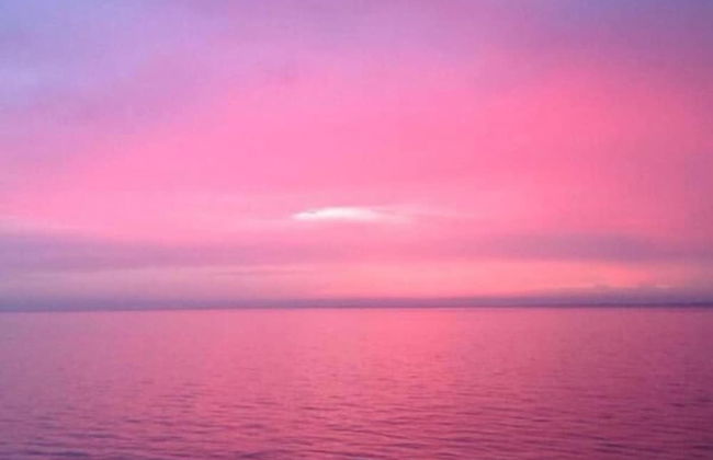 Garden Apartment On The Beach - Foto 11