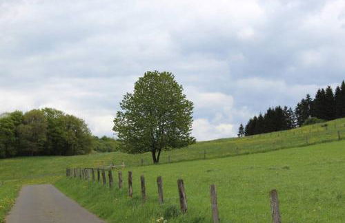 Eifelhaus LandLuft mit Infrarotkabine - Foto 12