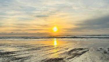 Appart Cosy Green, Océan, Golf, Piscine, Wifi - Foto 4