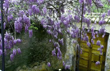 Palazzo Jannoni Holiday - Foto 9