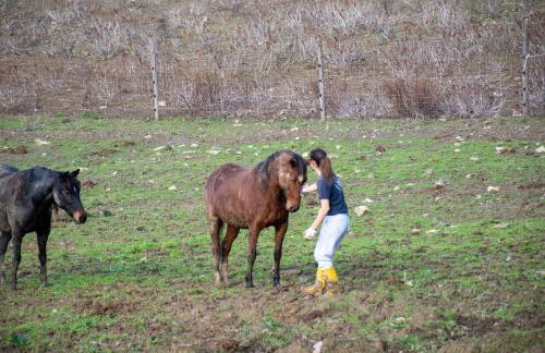 Fattoria di Maiano - Foto 42