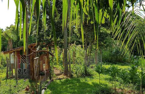Chalé Ametista na Amarte perto do Templo Budista - Foto 31
