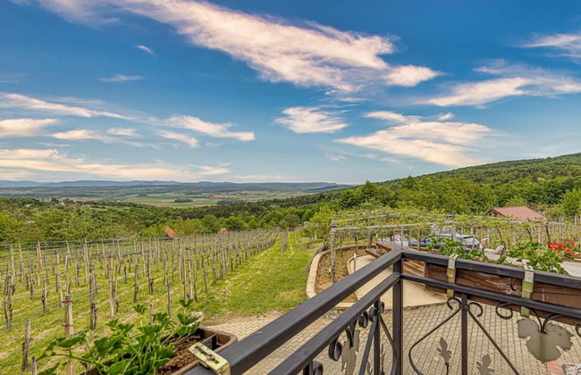 Vineyard Homestead Vrtin - Foto 25