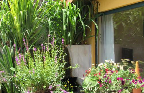 Ferienwohnung "Eifelstueffje" - Foto 34