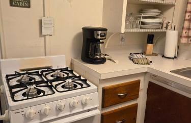 Lakefront! Twin Birch Resort - The Green Laker - Foto 31