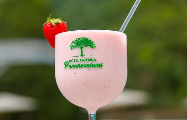 Hotel Fazenda Pommernland - Photo 42