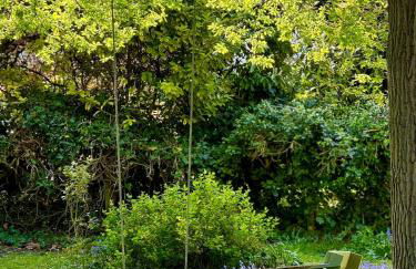 Seine Riverside Getaway Ideal for Families near Paris - Foto 20