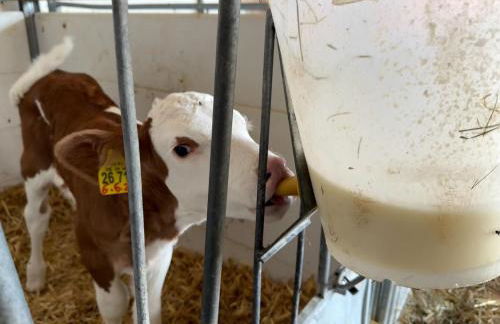 Schwaigerhof - Foto 13