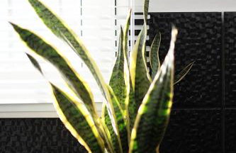 ZEN Minimal Luxury Housing Tyros - Foto 34