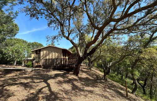 Cabanas de Melides - Foto 54