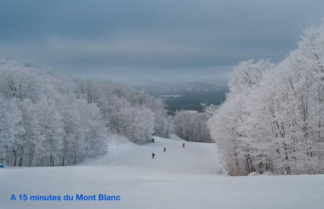 Spacious log Cottage Resort Access Citq 242255 - Foto 61