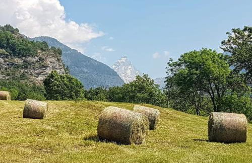 Agriturismo La Clochette - Foto 21