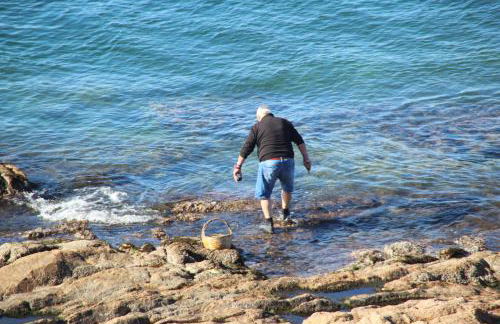 Miramare Isola Rossa - Foto 11