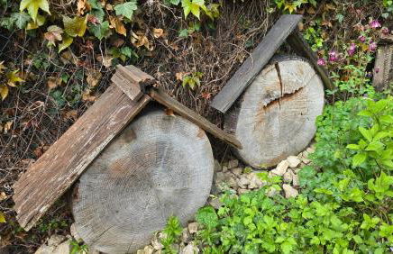 Ferienwohnung Olivenblick Bad Honnef - Foto 35