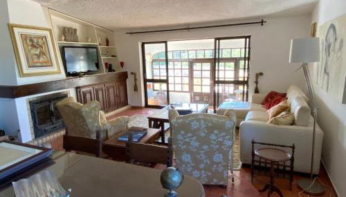 Cama da Vaca - Foto 5