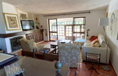 Cama da Vaca - Foto 5