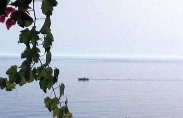 Plori House - Foto 36