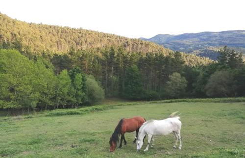 San Bartolome Etxea - Foto 36