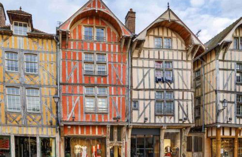 Jolie maison style champenois Classement 3 étoiles Gîtes de France - Foto 41
