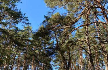 Baltic Porto - Porto 32 - Photo 24