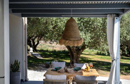 Tree of Life - Foto 20