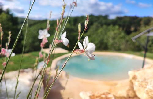 VIP REFUGE - Foto 10