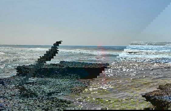 Casa Karibu at Santa Maria Machangulo Mozambique - Photo 35