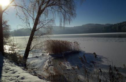 Ferienwohnung Elisabeth - Foto 10