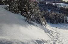 Résidence le chalet des orres - Photo 18