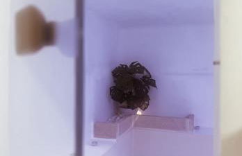 TORRE VECCHIA RELAIS - Foto 56