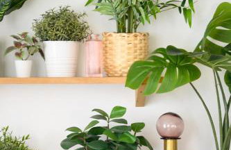 Offre spéciale ! Jolie pépite - Le Verdoyant - Foto 16