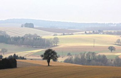 Ferienwohnung Jung und Lind - Foto 7