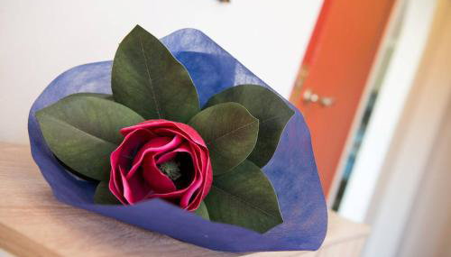 Pura Vida Home - Foto 5