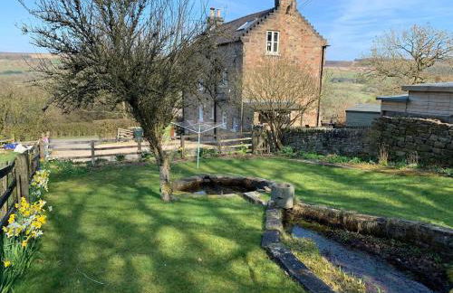 Primrose Villa - Foto 15