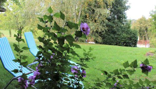 Location paisible proche de Belvès, animaux admis, terrasse - FR-1-616-147 - Foto 4