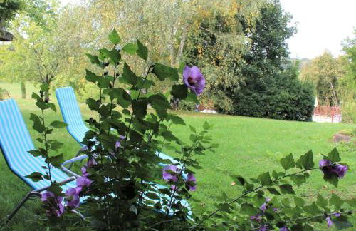 Location paisible proche de Belvès, animaux admis, terrasse - FR-1-616-147 - Foto 4