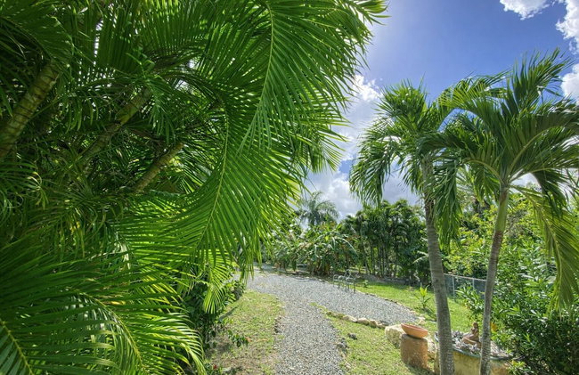The Greenside Cottages - Private Tropical Garden - Residential area 5 mins from the beach - Foto 21