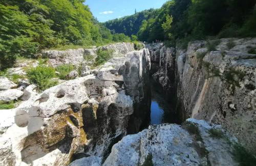 Balneo & Ciné - Jungle Touch - Direct Genève - Gare Bellegarde - Foto 16